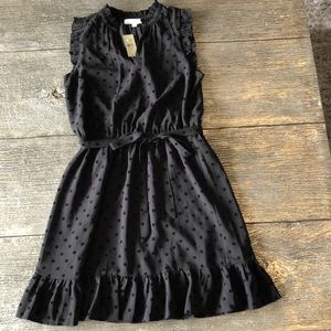 Loft black polka dot flocked dress new 8P